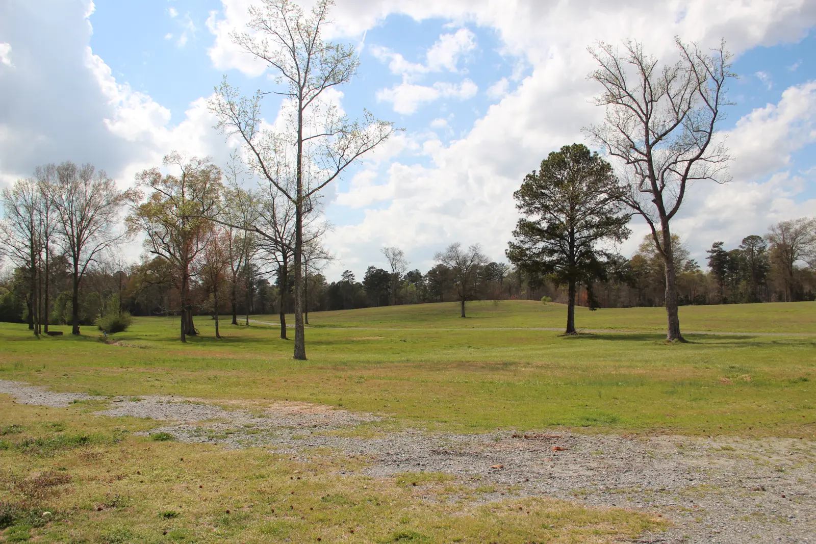 The Atlanta Athletic Club fields on Bobby Jones Drive in Johns Creek, where the International Festival is held
