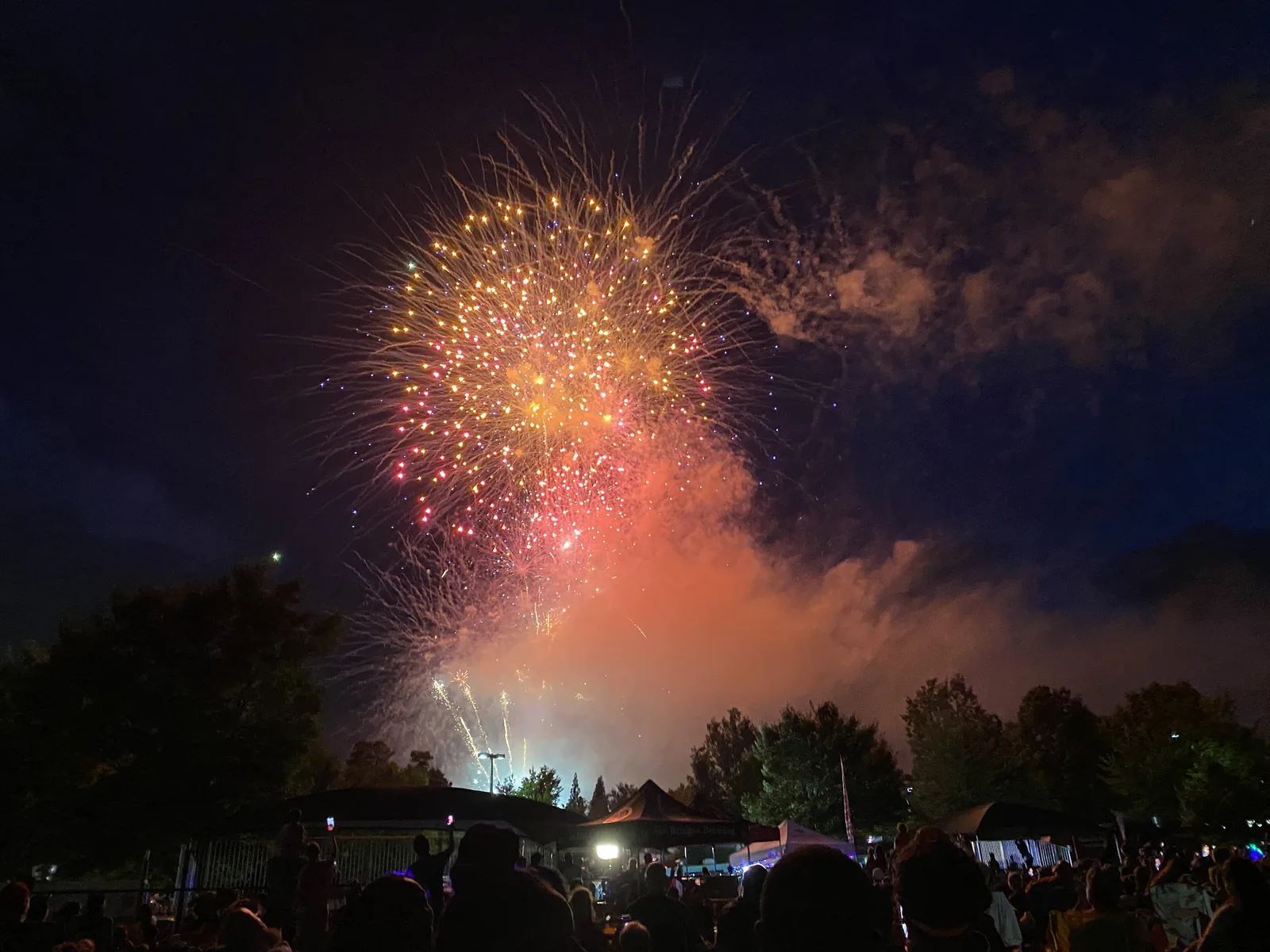 A crowd at a nighttime city celebration in Johns Creek