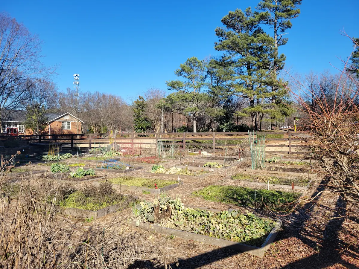 The community garden at Newtown Park in Johns Creek