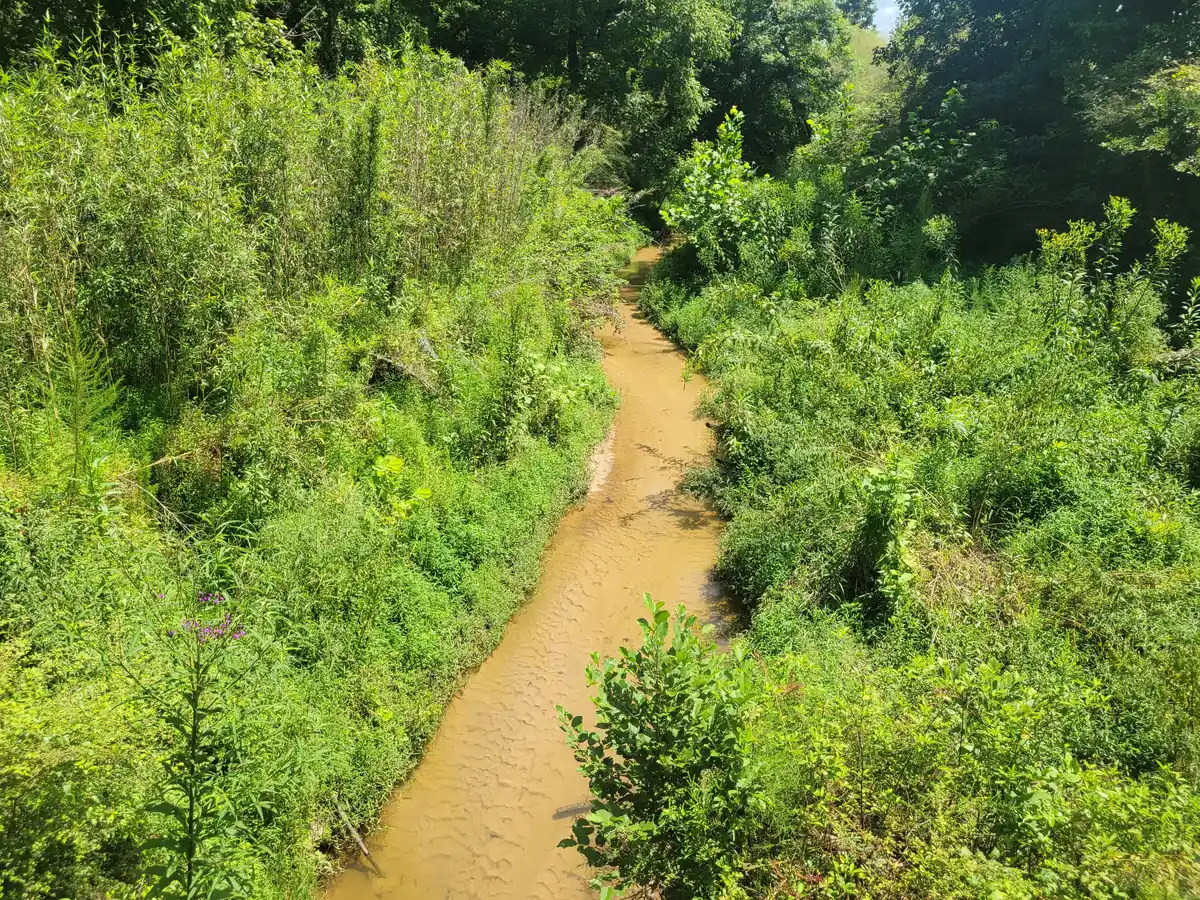 Cauley Creek in Johns Creek